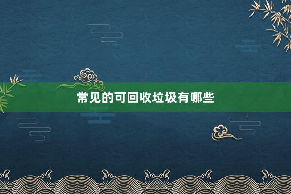 常见的可回收垃圾有哪些
