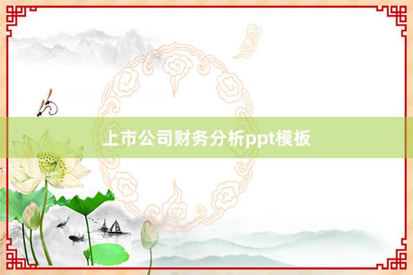 上市公司财务分析ppt模板