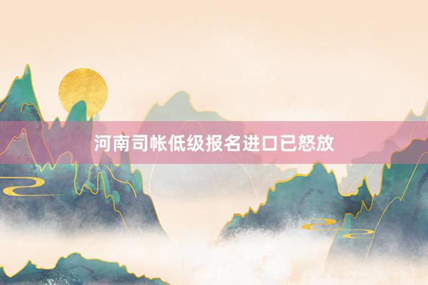 河南司帐低级报名进口已怒放